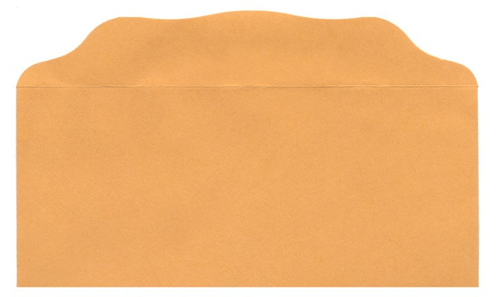 Seed of Abraham Christian Bookstore - (In)Courage - Offering Envelope-Blank (Bill-Size)-Goldenrod (Pack Of 100)