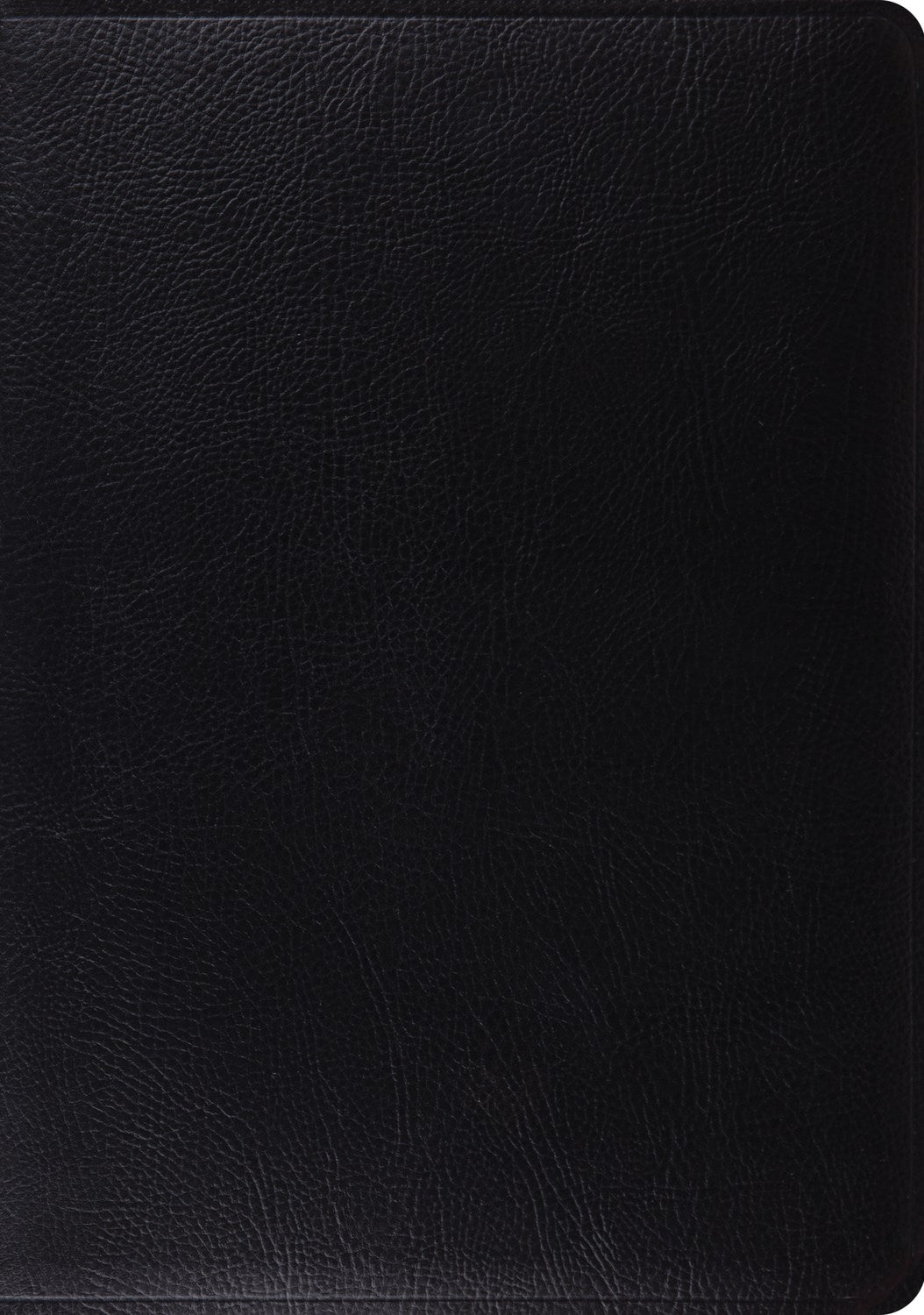 Seed of Abraham Christian Bookstore - (In)Courage - ESV Study Bible-Black Bonded Leather