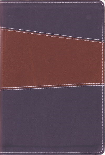 Seed of Abraham Christian Bookstore - (In)Courage - The Message Remix 2.0 (Numbered Edition)-Vintage Brown/Navy LeatherLook