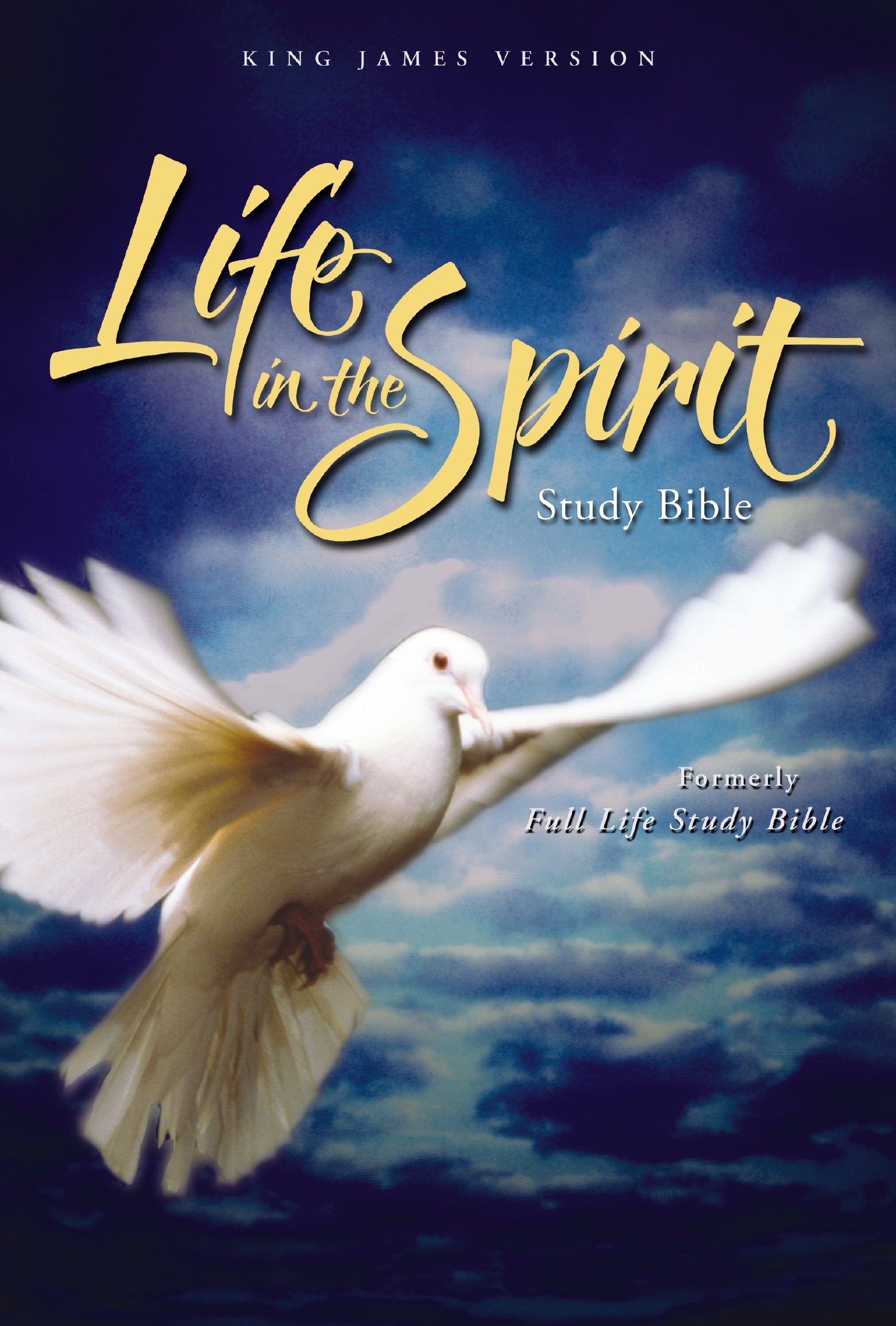 Seed of Abraham Christian Bookstore - (In)Courage - KJV Life In The Spirit Study Bible-Black Genuine
