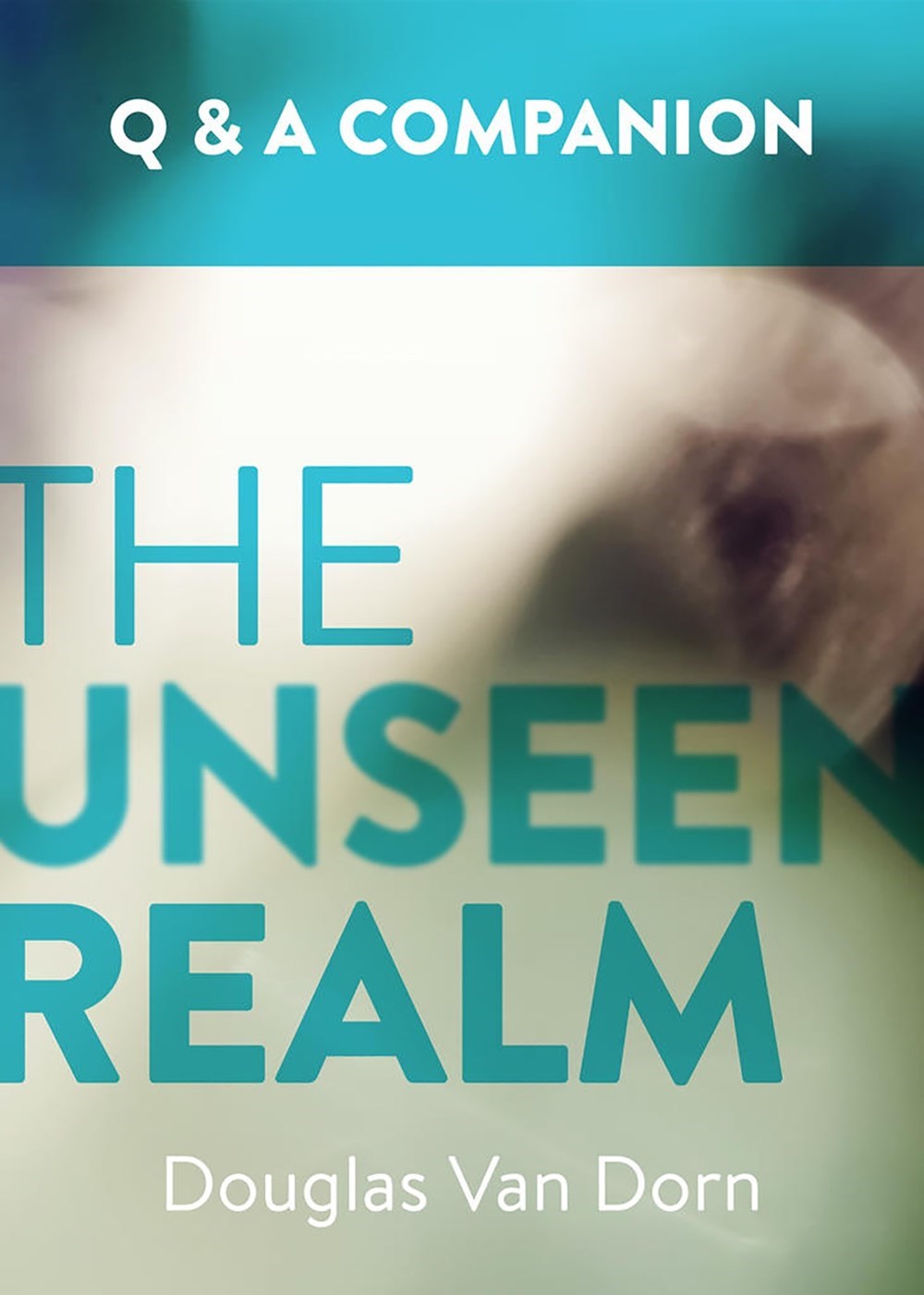 Unseen Realm: A Question &amp; Answer Companion