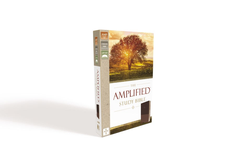 Amplified Study Bible (Revised)-Brown LeatherSoft