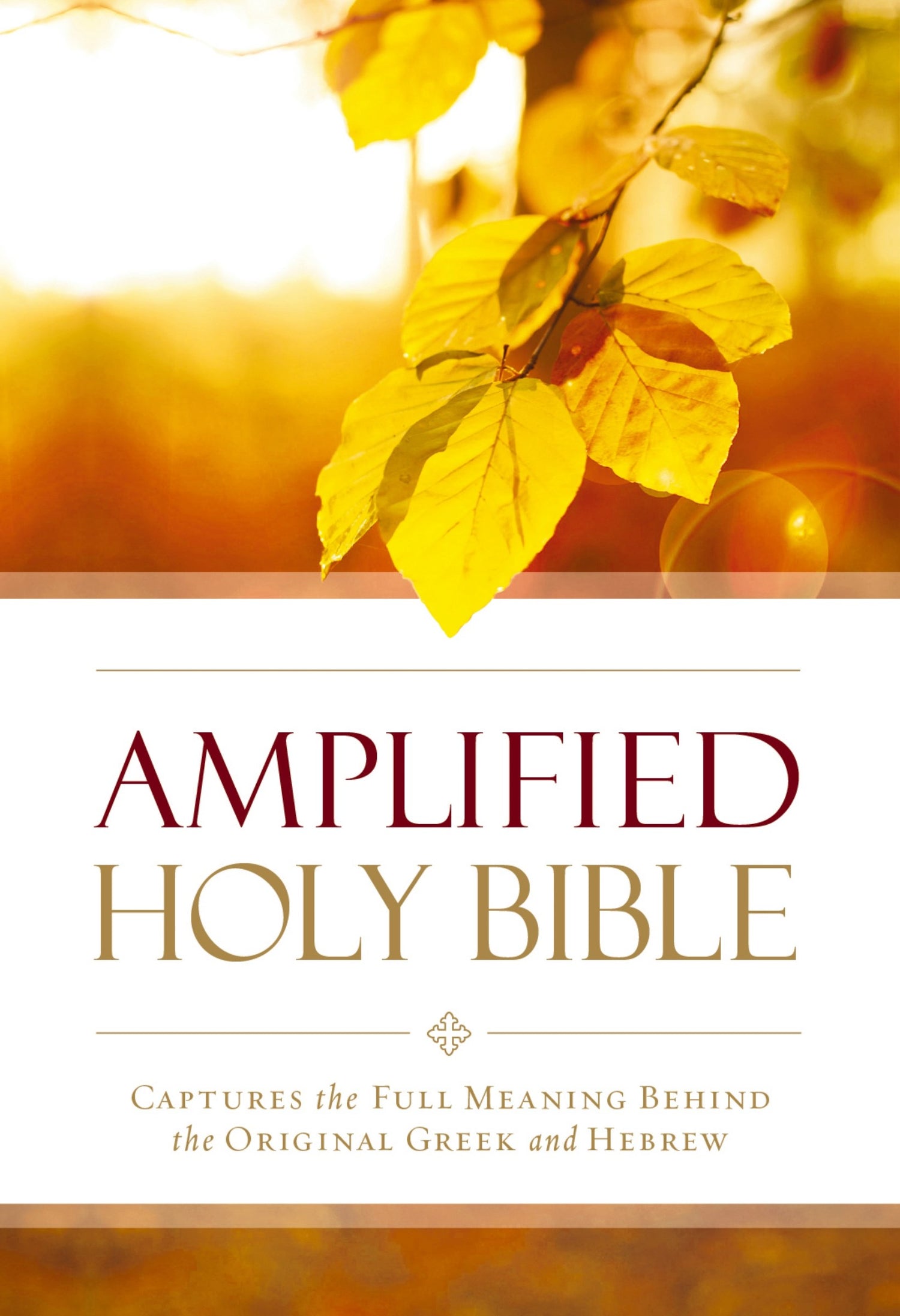 Seed of Abraham Christian Bookstore - Amplified Outreach Bible-Softcover