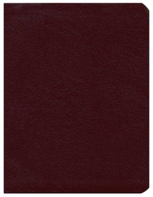 Seed of Abraham Christian Bookstore - (In)Courage - KJV Dake Annotated Reference Bible-Burgundy Bonded Leather