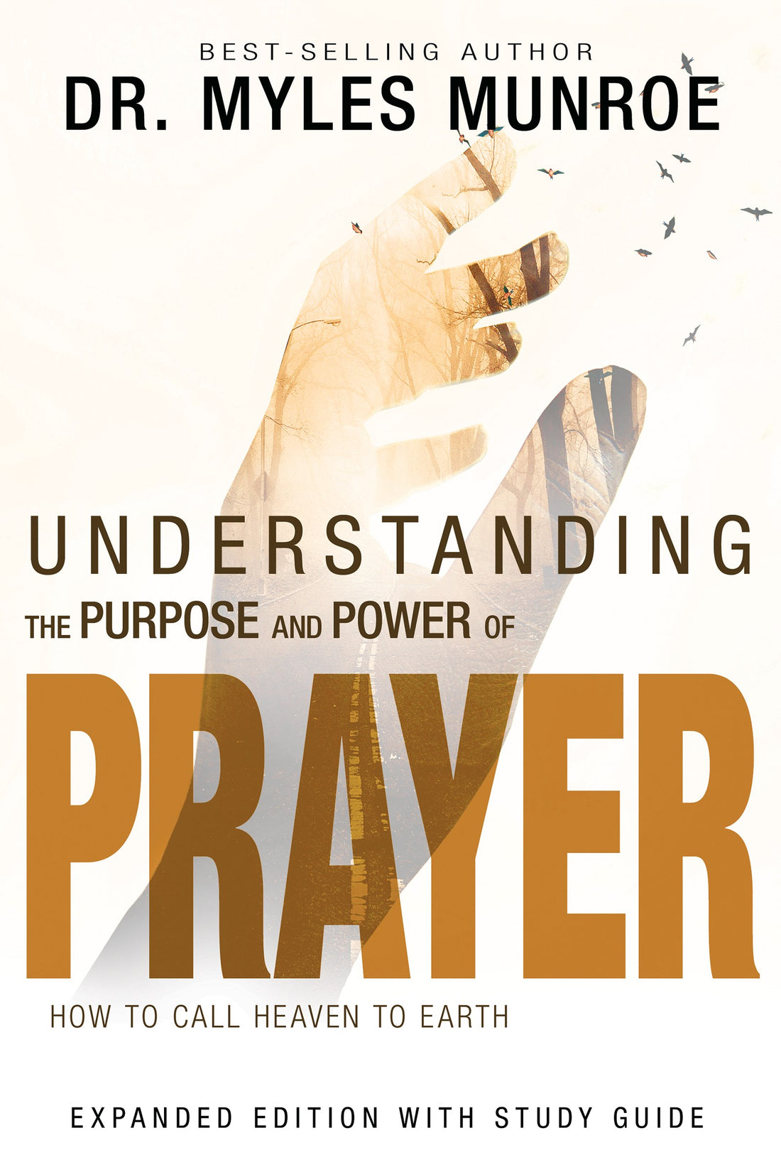 Seed of Abraham Christian Bookstore - (In)Courage - Understanding The Purpose And Power Of Prayer (Expanded Edition)