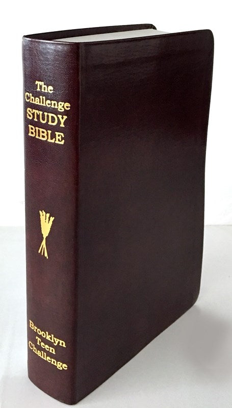 Seed of Abraham Christian Bookstore - CEV CHALLENGE STUDY BIBLE-FLEXI COVER (NEW)