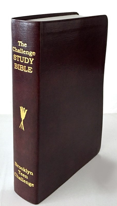 Seed of Abraham Christian Bookstore - (In)Courage - CEV CHALLENGE STUDY BIBLE-FLEXI COVER (NEW)