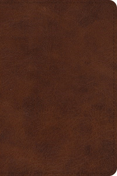 Seed of Abraham Christian Bookstore - (In)Courage - ESV Large Print Bible-Deep Brown TruTone