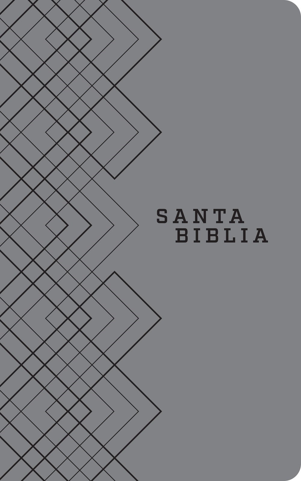 Span-NTV Holy Bible  Agape Edition (Santa Biblia  Edicion Agape)-Gray LeatherLike