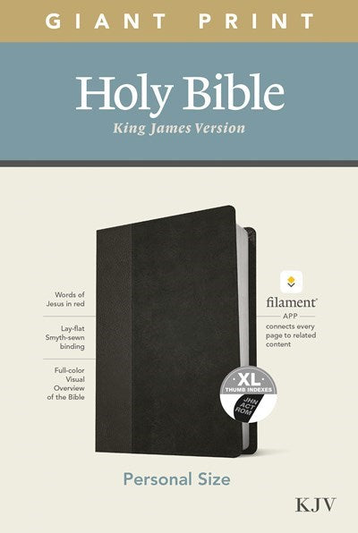 Seed of Abraham Christian Bookstore - (In)Courage - KJV Personal Size Giant Print Bible/Filament Enabled-Black/Onyx LeatherLike Indexed