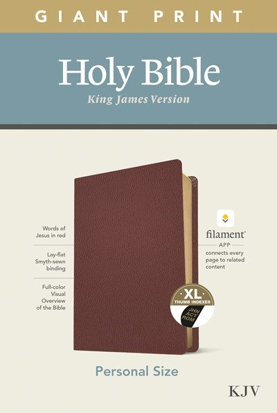 Seed of Abraham Christian Bookstore - (In)Courage - KJV Personal Size Giant Print Bible/Filament Enabled-Burgundy Genuine Leather Indexed