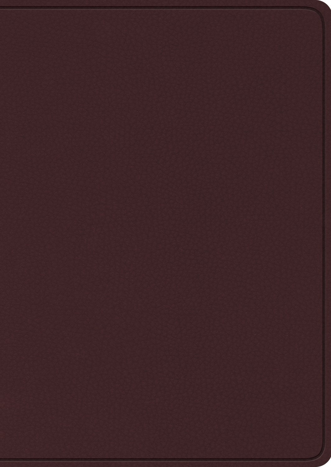 Seed of Abraham Christian Bookstore - (In)Courage - ESV Study Bible/Large Print-Burgundy Bonded Leather