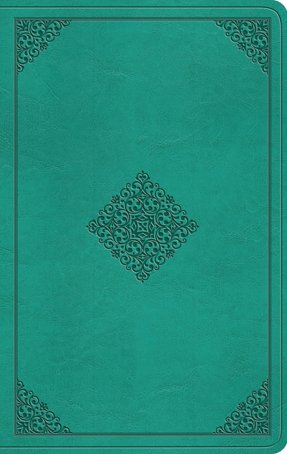 Seed of Abraham Christian Bookstore - (In)Courage - ESV Value Thinline Bible-Teal  Ornament Design TruTone