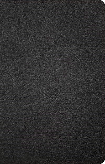 Seed of Abraham Christian Bookstore - (In)Courage - CSB Thinline Bible-Black Genuine Leather
