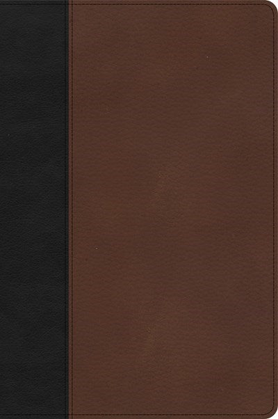 Seed of Abraham Christian Bookstore - (In)Courage - CSB Large Print Thinline Bible-Black/Brown LeatherTouch