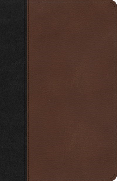 Seed of Abraham Christian Bookstore - (In)Courage - KJV Thinline Bible-Black/Brown LeatherTouch