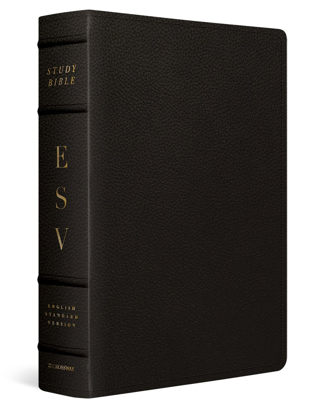 Seed of Abraham Christian Bookstore - (In)Courage - ESV Study Bible/Large Print-Deep Brown Buffalo Leather