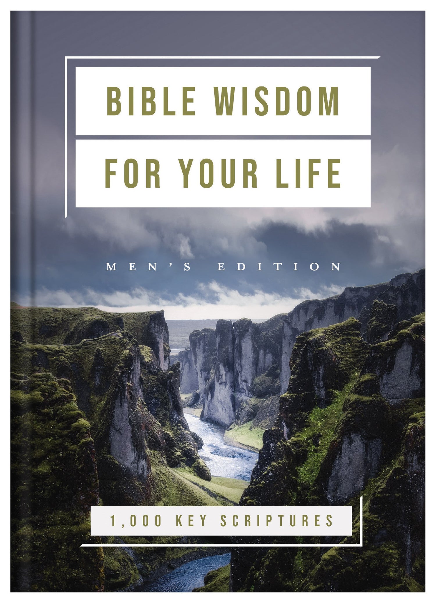 Bible Wisdom For Your Life: Men&