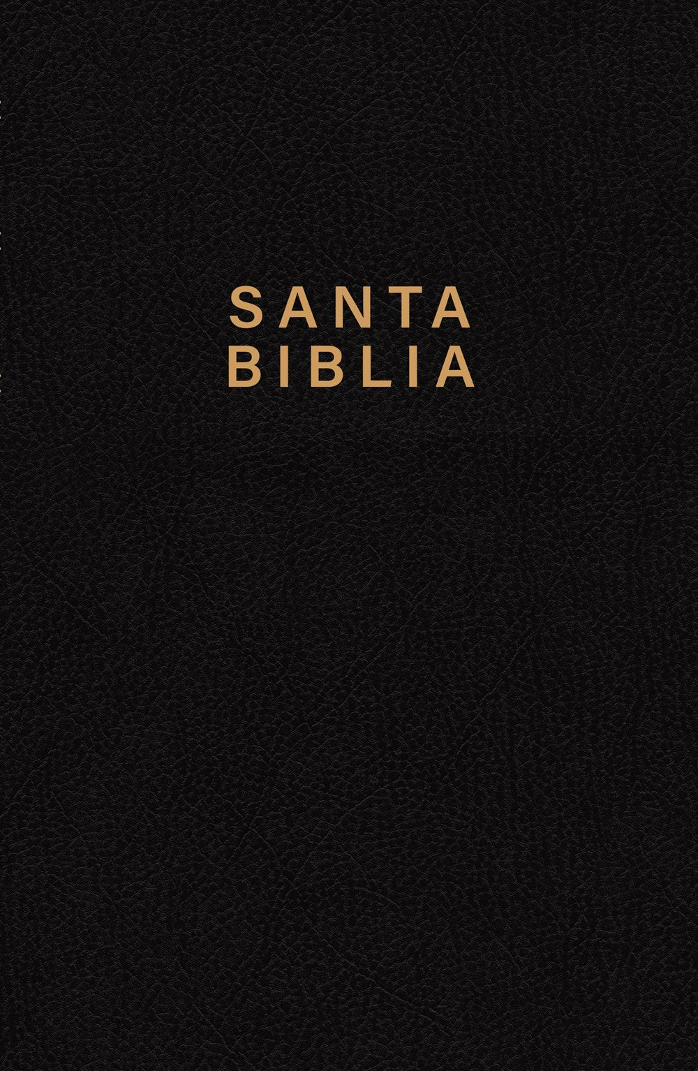 Span-NTV Holy Bible  Gift Edition (Santa Biblia  Edicion premio y regalo)-Black LeatherLike