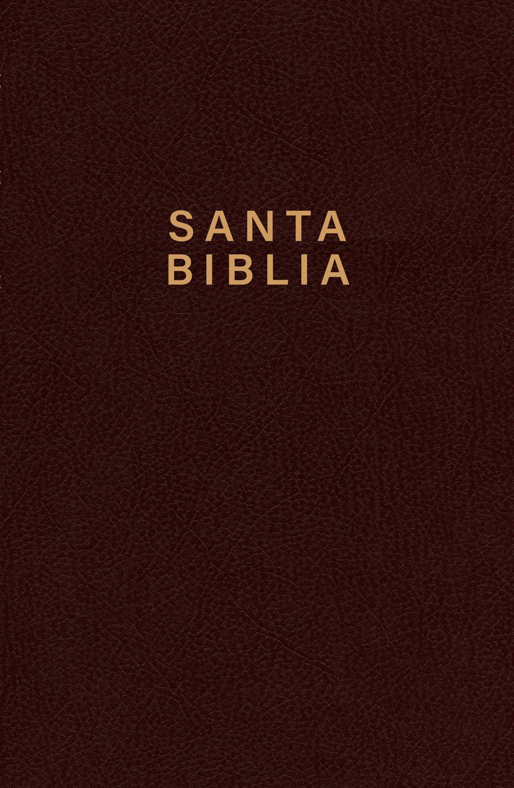 Span-NTV Holy Bible  Gift Edition (Santa Biblia  Edicion premio y regalo)-Red Wine LeatherLike